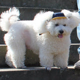 Max' Anti Heat Jean Swag Cap For Dogs