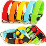 Buy 1 Get 1! - Safety Glowing Dog Collars and Leashes By Pet Lovers Club