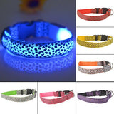 Safety Glowing Pet Collar With LED By Project Pet Lovers Club