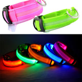 Safety Glowing Pet Collar With LED By Project Pet Lovers Club