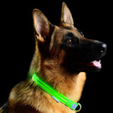 Safety Glowing Pet Collar With LED By Project Pet Lovers Club