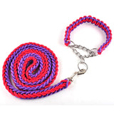 Big Dog Plaited Leash And Collar Set