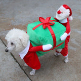 Santa Claus Dog