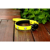 Premium Series - Multi LED Safety Pet Collar Version 1